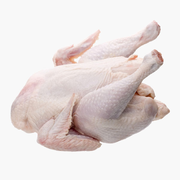 Chicken - Old Layers